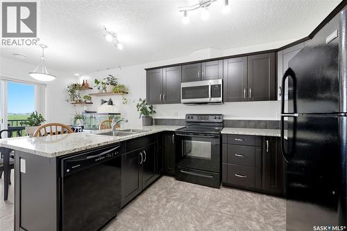 312 3822 Dewdney Avenue E, Regina, SK - Indoor Photo Showing Kitchen With Double Sink