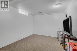Carpeted room with white walls, a single ceiling light fixture, and a high-set window - 