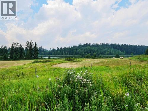 798 Ruttan Road, Quesnel, BC - Outdoor With View