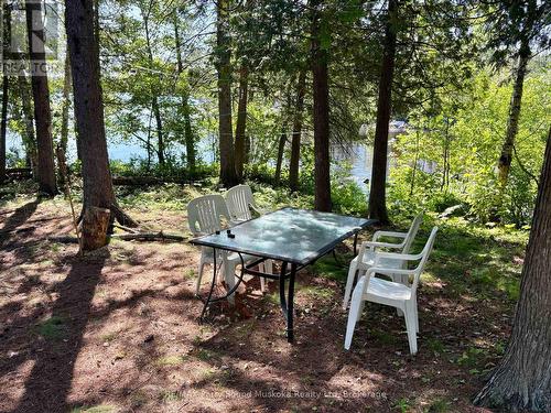 3 Robinson Road, Magnetawan (Ahmic Harbour), ON - Outdoor