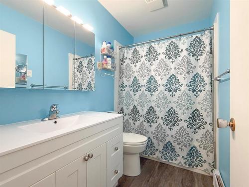 256 1St Avenue W, Souris, MB - Indoor Photo Showing Bathroom