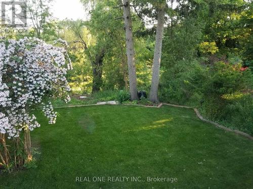 Back Yard 2 - 26 Applefield Drive, Toronto, ON - Outdoor