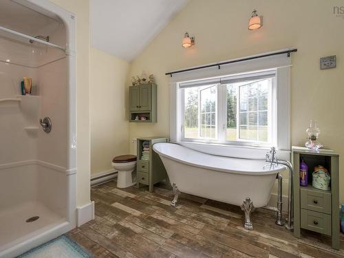1013 Fall Brook Road, Mcphersons Mills, NS - Indoor Photo Showing Bathroom