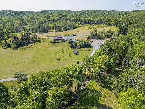 1013 Fall Brook Road, Mcphersons Mills, NS - Outdoor With View