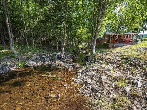 1013 Fall Brook Road, Mcphersons Mills, NS - Outdoor