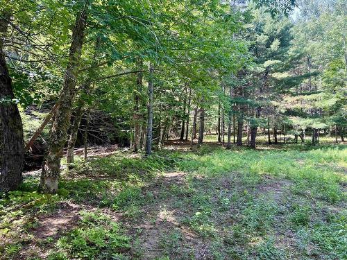 2 Macpherson Road, Macphersons Mills, NS 