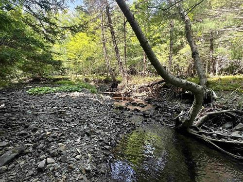 2 Macpherson Road, Macphersons Mills, NS 