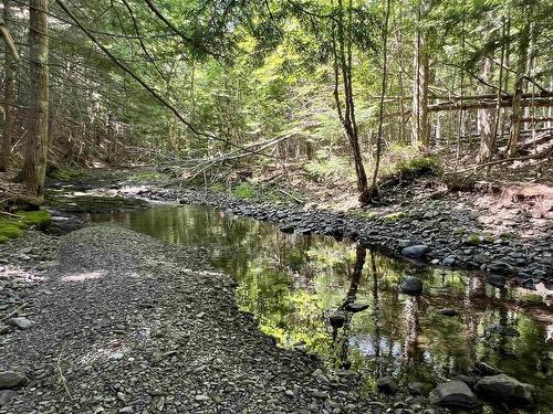 2 Macpherson Road, Macphersons Mills, NS 