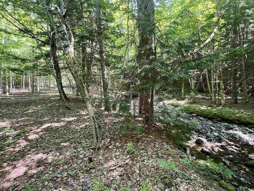 2 Macpherson Road, Macphersons Mills, NS 