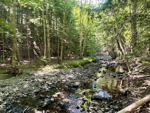 2 Macpherson Road, Macphersons Mills, NS 