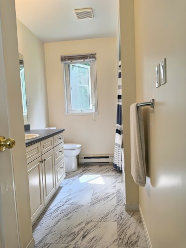 Bathroom - 83 Ch. Hervé-Pigeon, Kipawa, QC - Indoor Photo Showing Bathroom