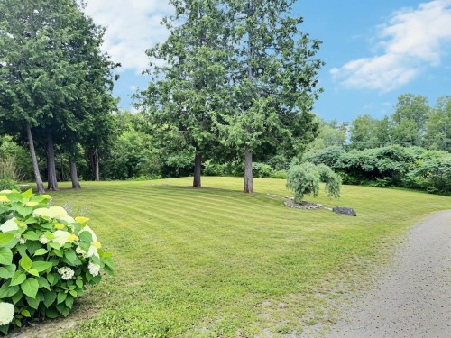 Courtyard - 886 Ch. Du Royaume-Des-Cèdres, Saint-Bruno-De-Guigues, QC - Outdoor