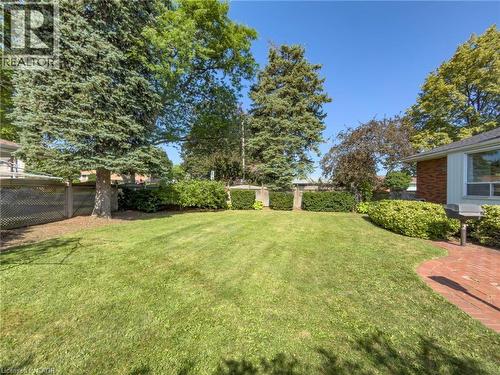 Expansive green lawn surrounded by mature trees and established perimeter shrubbery - 143 Cromwell Crescent, Hamilton, ON - Outdoor