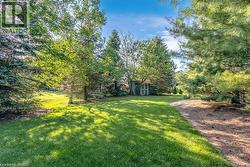 Expansive green lawn surrounded by mature trees, featuring a detached storage shed with a white trim - 