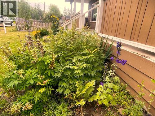 3615 Alfred Avenue, Smithers, BC - Outdoor