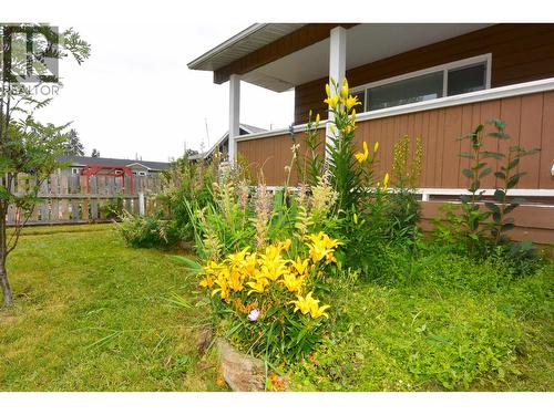 3615 Alfred Avenue, Smithers, BC - Outdoor