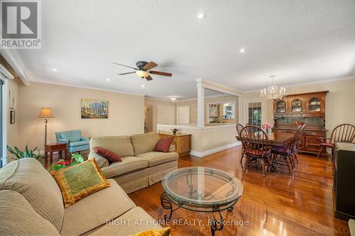39 Grovetree Road, Toronto, ON - Indoor Photo Showing Living Room