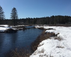 Vue sur l'eau - 