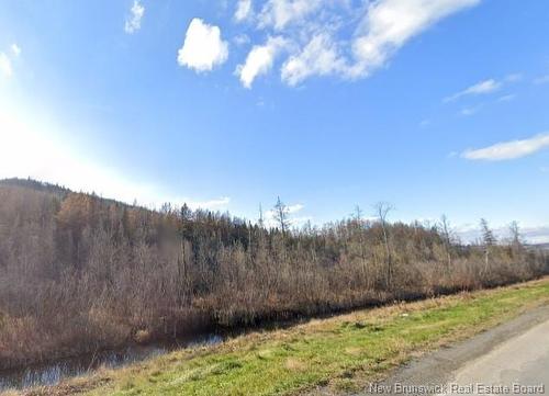 0 Mont Farlagne Rd, Saint-Jacques, NB 