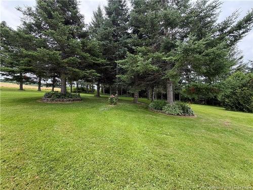 7173 Rte 17, Kedgwick, NB 