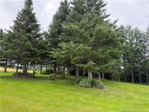7173 Rte 17, Kedgwick, NB 