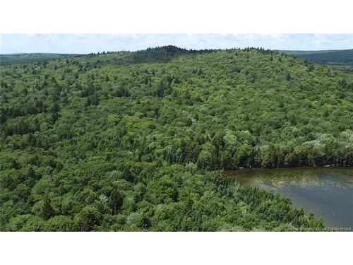 - Big Salmon River Rd, Fair View, NB - Outdoor With Body Of Water With View