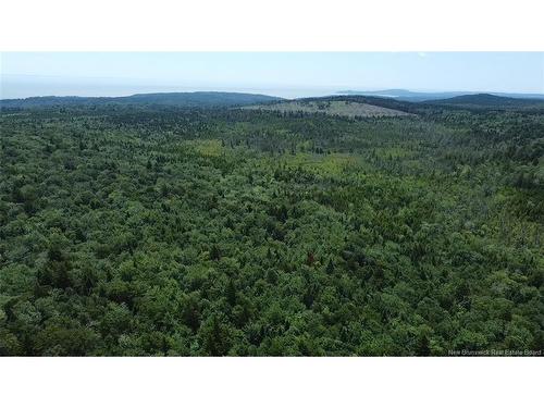 - Big Salmon River Rd, Fair View, NB - Outdoor With View