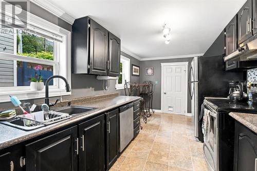 64 Brazil Street, St. John'S, NL - Indoor Photo Showing Kitchen With Double Sink