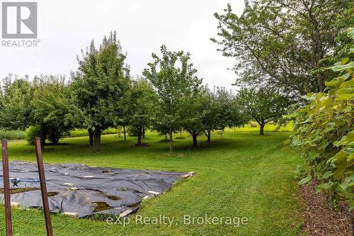 350063 Bayshore Road, Meaford, ON 