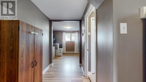 28 Branscombe Street, St John'S, NL - Indoor Photo Showing Other Room