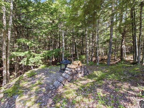 95 White Tail Pass, Vaughan, NS - Outdoor
