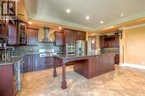 252 Dalhousie Unit# 401, Amherstburg, ON - Indoor Photo Showing Kitchen With Upgraded Kitchen