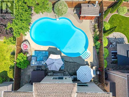 19 Mcnally Street, Halton Hills, ON - Outdoor With In Ground Pool With Deck Patio Veranda