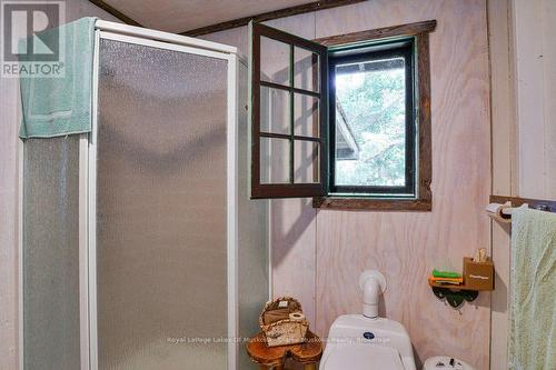 25744 Georgian Bay Shr, Georgian Bay (Gibson), ON - Indoor Photo Showing Bathroom