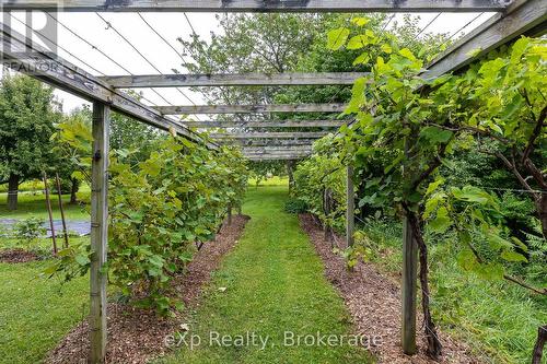350063 Bayshore Road, Meaford, ON - Outdoor