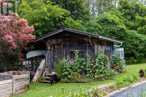 350063 Bayshore Road, Meaford, ON - Outdoor