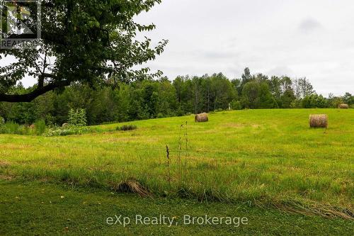 350063 Bayshore Road, Meaford, ON - Outdoor