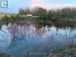 seasonal pond - 