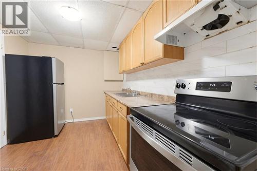 459 Dicenzo Drive, Hamilton, ON - Indoor Photo Showing Kitchen With Double Sink