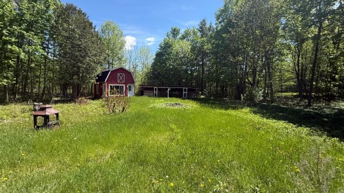 Cour - 457 Ch. Moore, Hemmingford - Canton, QC - Outdoor