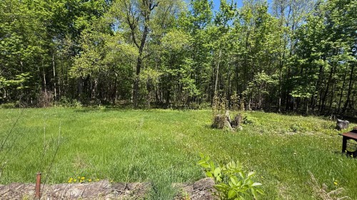 Cour - 457 Ch. Moore, Hemmingford - Canton, QC - Outdoor