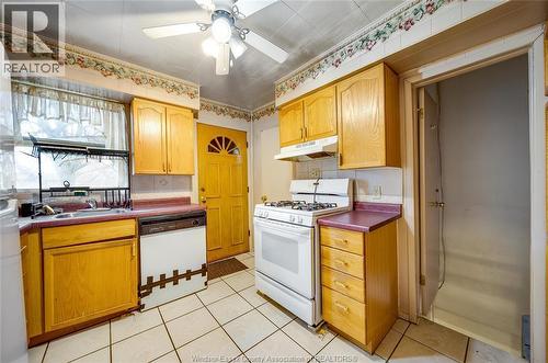 879 Felix Avenue, Windsor, ON - Indoor Photo Showing Kitchen With Double Sink