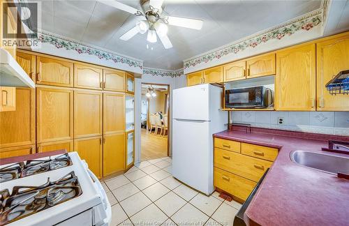 879 Felix Avenue, Windsor, ON - Indoor Photo Showing Kitchen