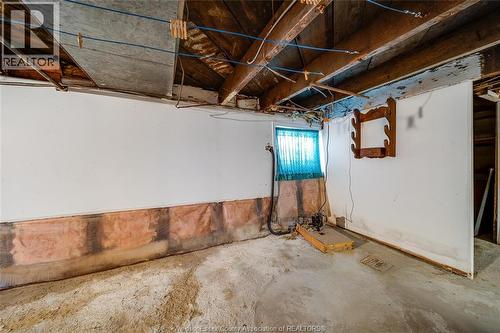 879 Felix Avenue, Windsor, ON - Indoor Photo Showing Basement