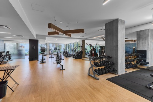 Exercise Room - 707-151 Rue De La Rotonde, Montréal (Verdun/Île-Des-Soeurs), QC - Indoor Photo Showing Gym Room