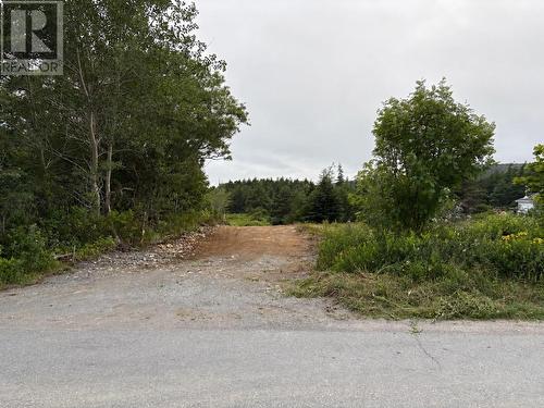 0 Sod Lane, Bay Roberts, NL 