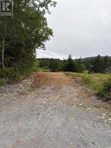 0 Sod Lane, Bay Roberts, NL 