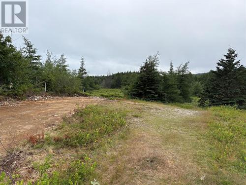 0 Sod Lane, Bay Roberts, NL 
