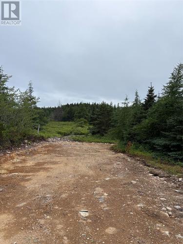 0 Sod Lane, Bay Roberts, NL 