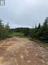 0 Sod Lane, Bay Roberts, NL 